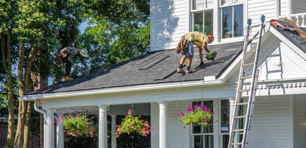 Best Roof Gutter Cleaning  in Jarales, NM
